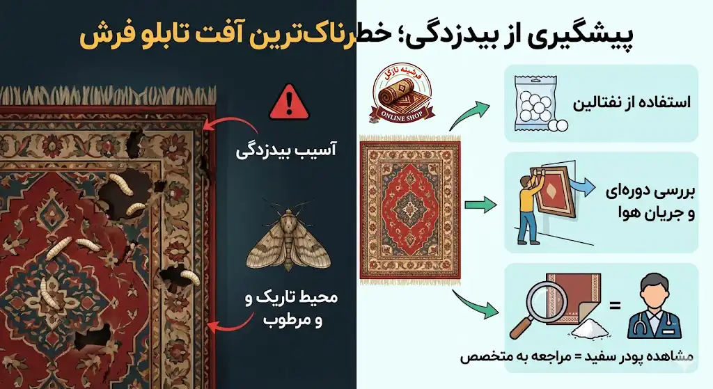 پیشگیری از بیدزدگی؛ خطرناک‌ترین آفت تابلو فرش، فرشینه نازگل